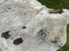 Load image into Gallery viewer, 41.  Tri salt and pepper Cowhide