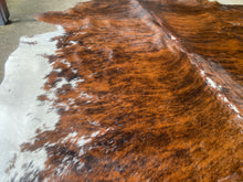 Load image into Gallery viewer, 52. Brindle white belly  Cowhide