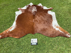 78. Brown white Hereford  Cowhide