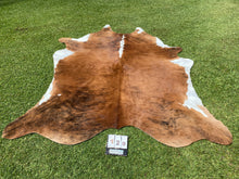 Load image into Gallery viewer, a129.Brindle white belly Cowhide