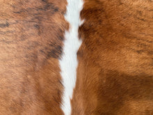 Load image into Gallery viewer, a129.Brindle white belly Cowhide