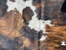 Load image into Gallery viewer, a103.brindle white belly Cowhide