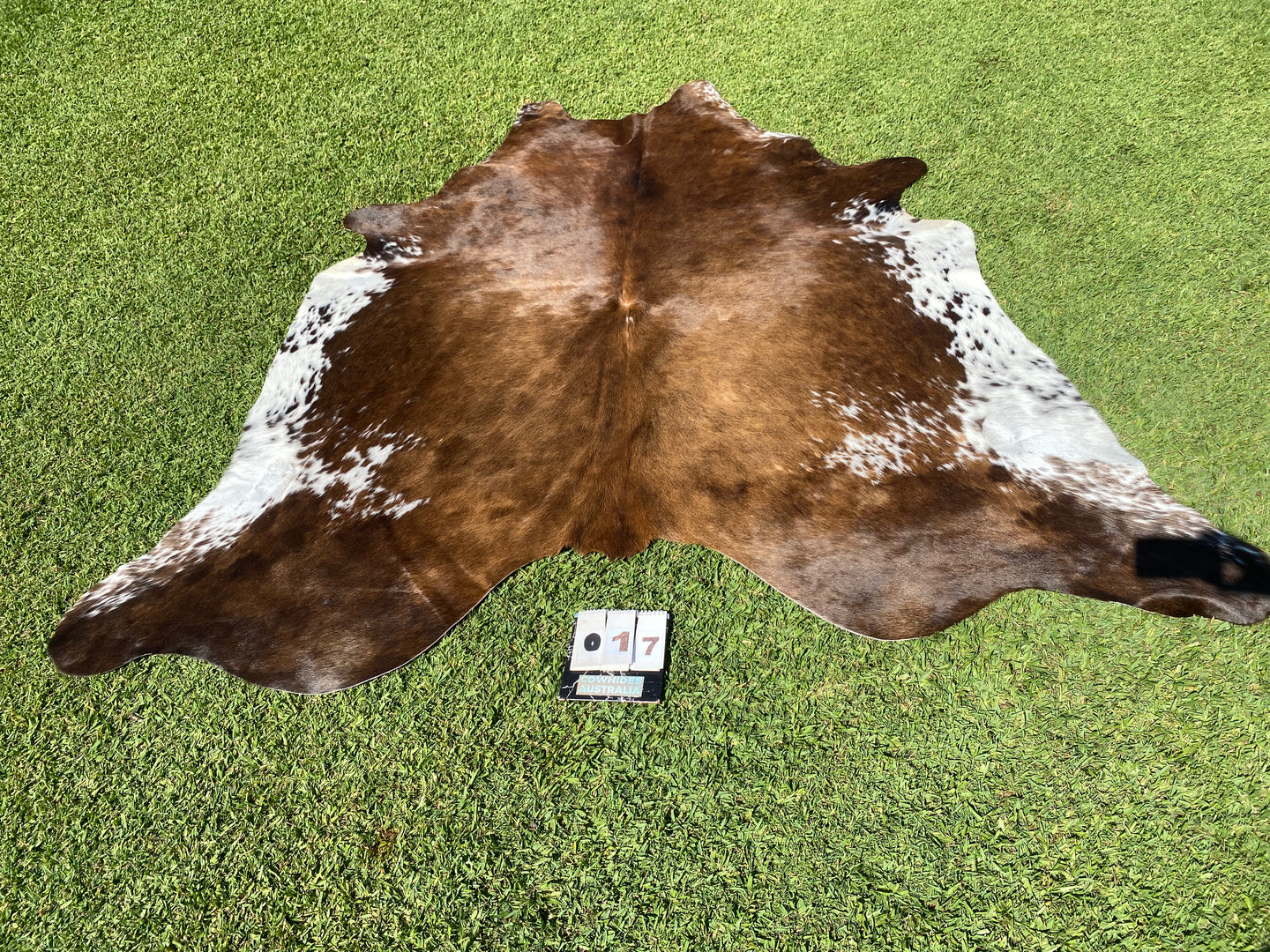 17. Black white reddish Cowhide