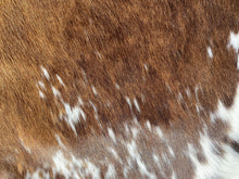 Load image into Gallery viewer, 17. Black white reddish Cowhide