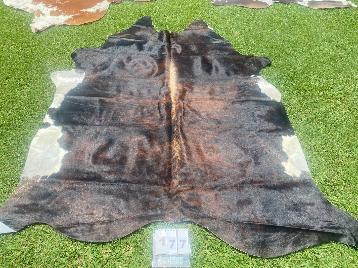 a177. Brindle white belly Cowhide