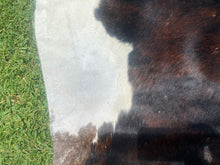 Load image into Gallery viewer, a177. Brindle white belly Cowhide