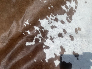 a152 Chocolate and White