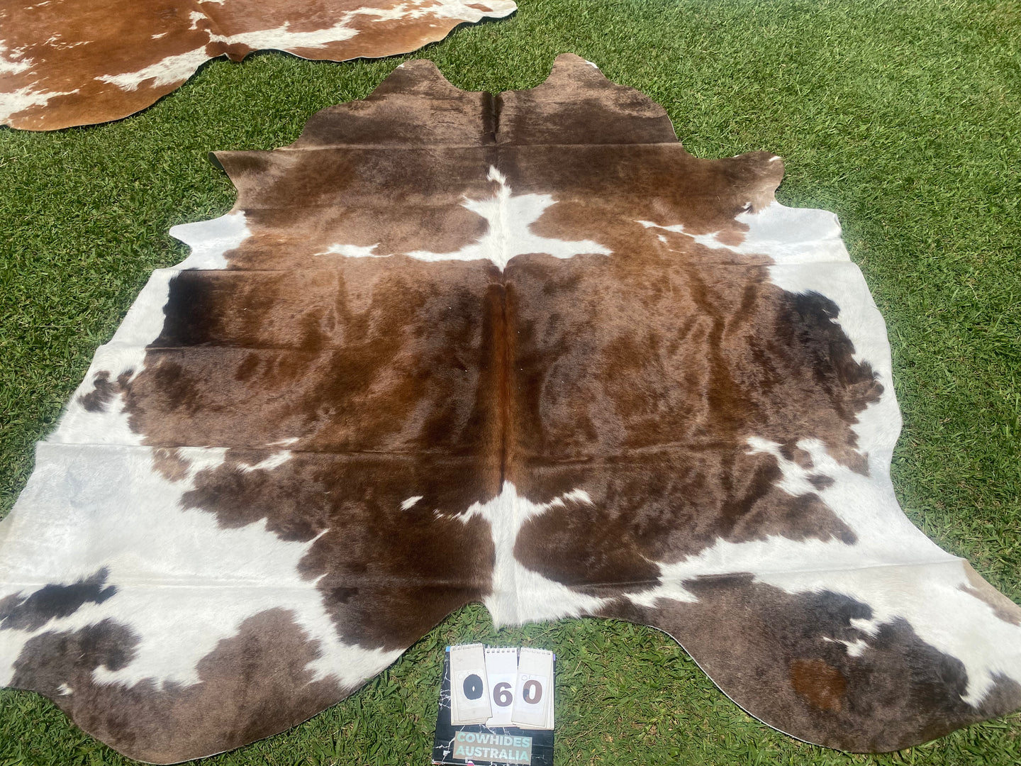 60. Mocha, Brown and White Cowhide