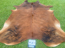 Load image into Gallery viewer, 30. Brindle  Cowhide