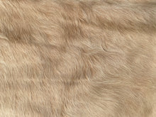Load image into Gallery viewer, 24 Caramel