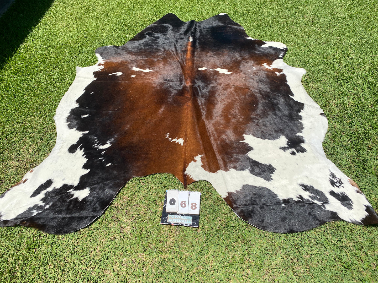 68 - Stunning Tricolour Cowhide