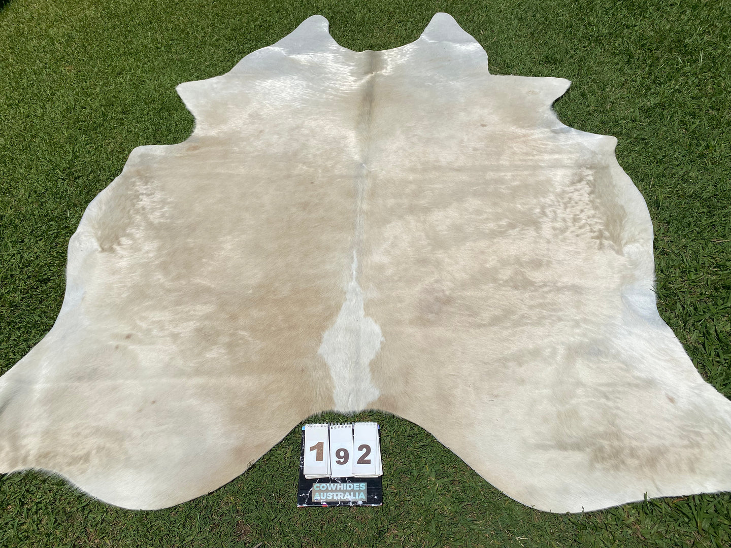 a192. Beige Cowhide