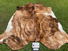 Load image into Gallery viewer, 59.Brindle and White