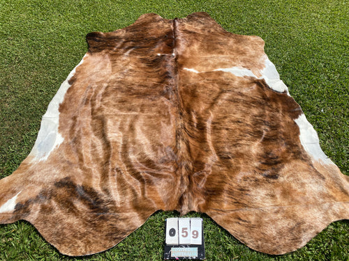 59.Brindle and White