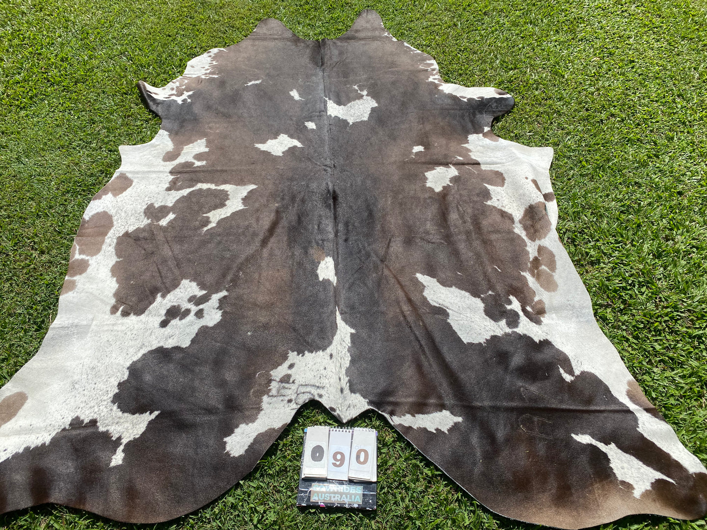 90. Chocolate and White Cowhide