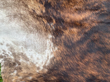 Load image into Gallery viewer, 10. Dark Brindle Cowhide