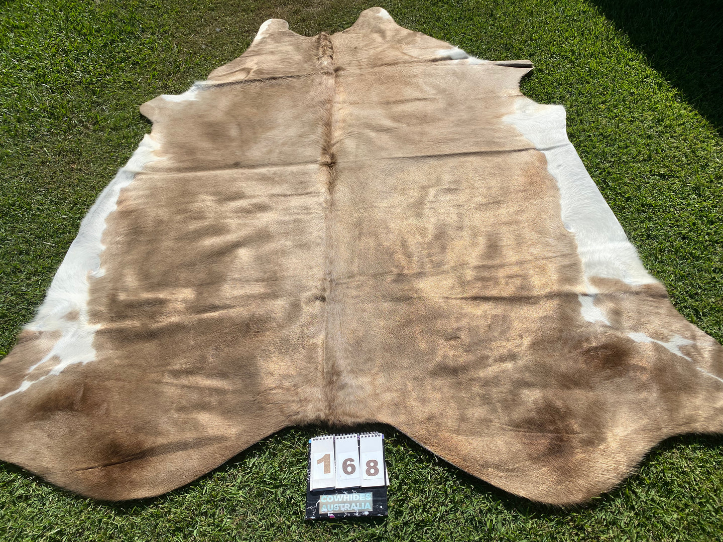 a168. Mocha and White Cowhide