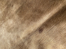 Load image into Gallery viewer, a168. Mocha and White Cowhide
