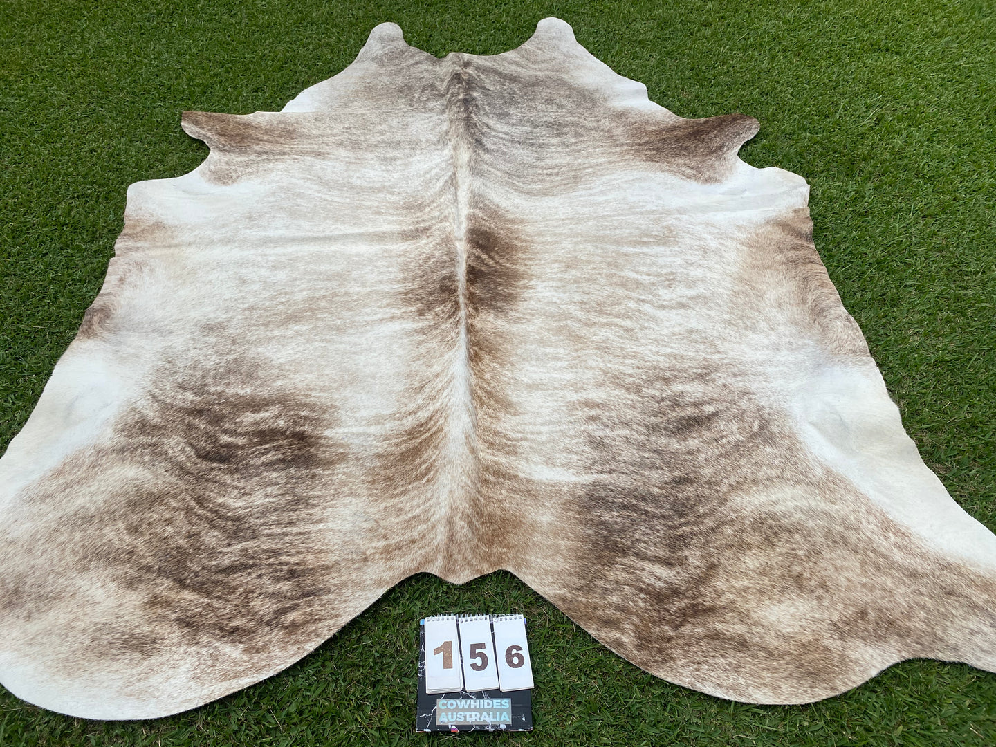 a156 Cream Brindle Cowhide