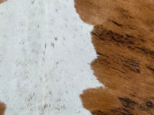 55.Brindle  and white Cowhide