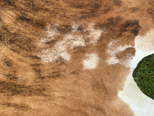 Load image into Gallery viewer, 55.Brindle  and white Cowhide