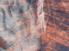 Load image into Gallery viewer, 04. Brindle  Cowhide