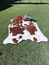 Load image into Gallery viewer, 08. Brown and White Cowhide