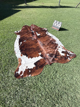 Load image into Gallery viewer, 01. Tri coloured Cowhide