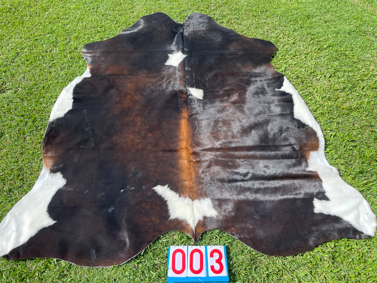 03. Black White Reddish