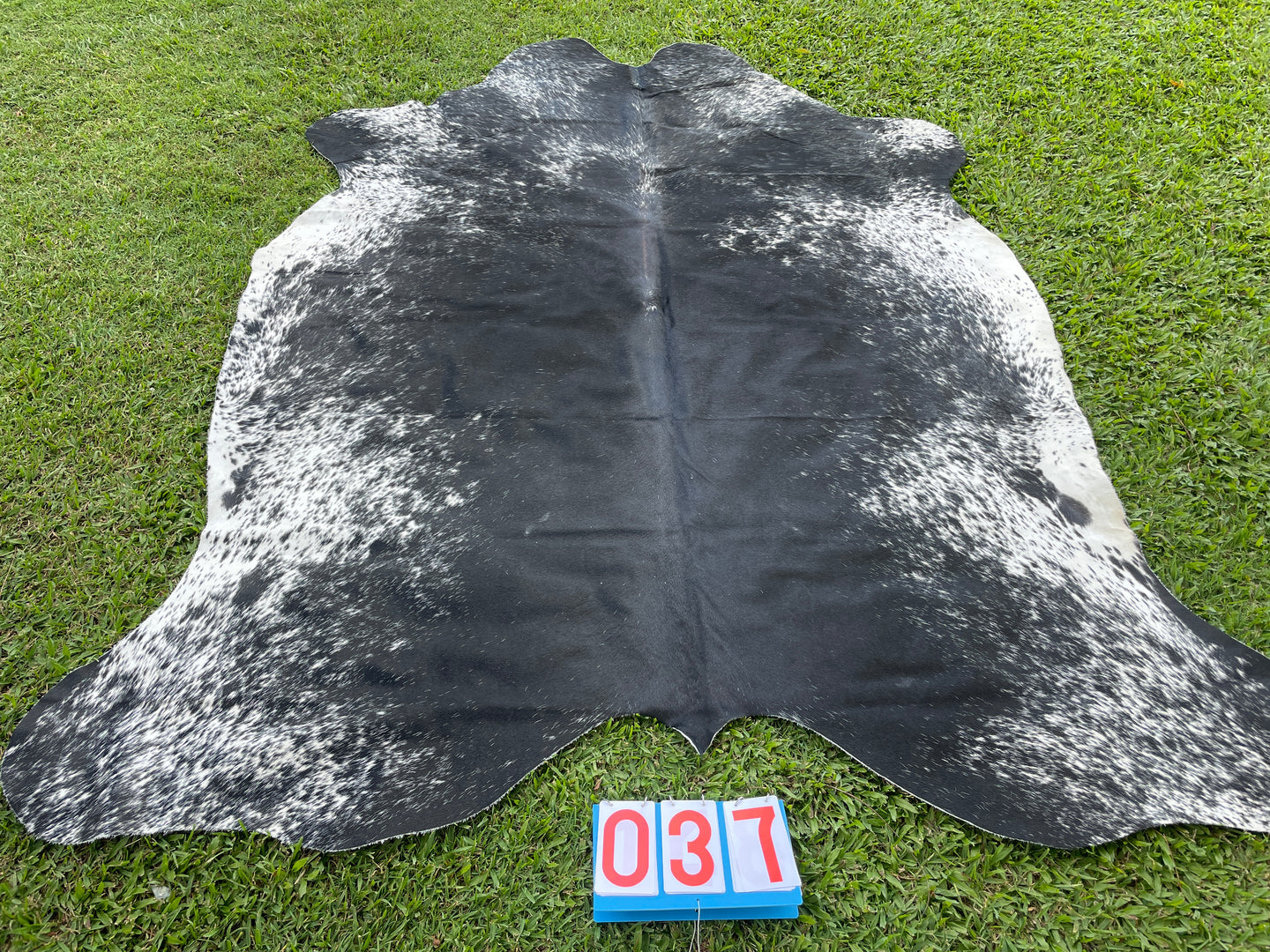 37. Cowhide Black and white with speckles