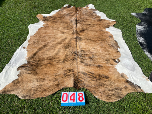 48. Brindle white belly  cowhide