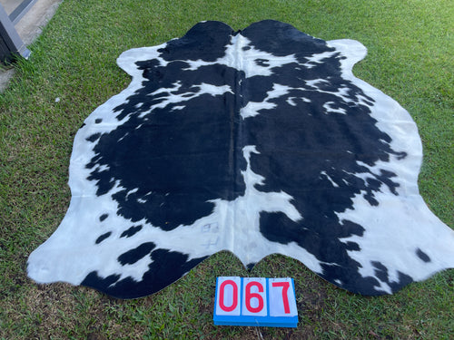 79. Stunning Brindle White Belly Cowhide