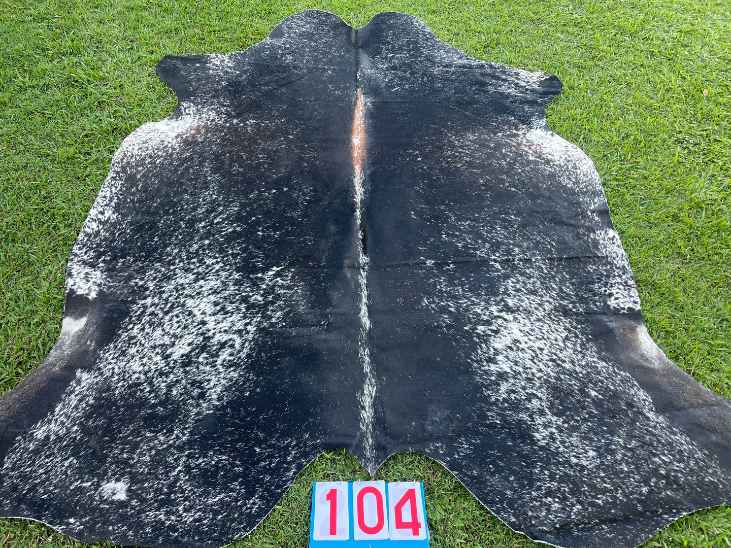 a104. Salt pepper and Red Cowhide