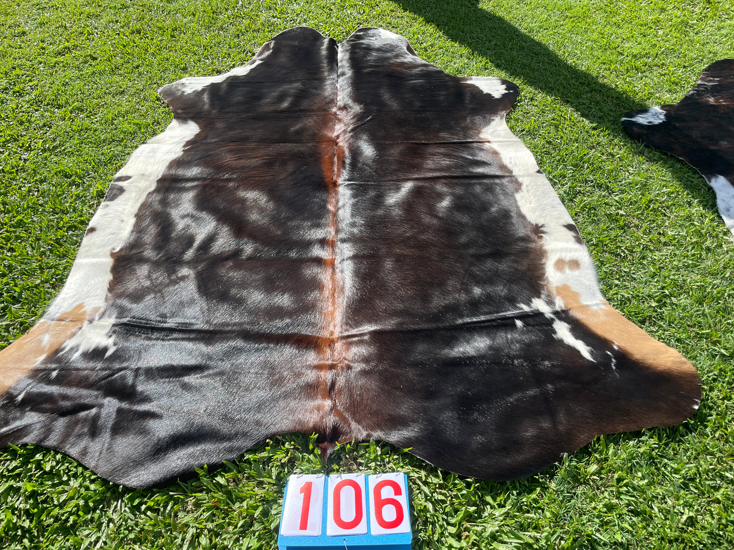 a106. Black white reddish  Cowhide
