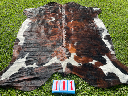 a111. Brown white Brindle white belly  Cowhide
