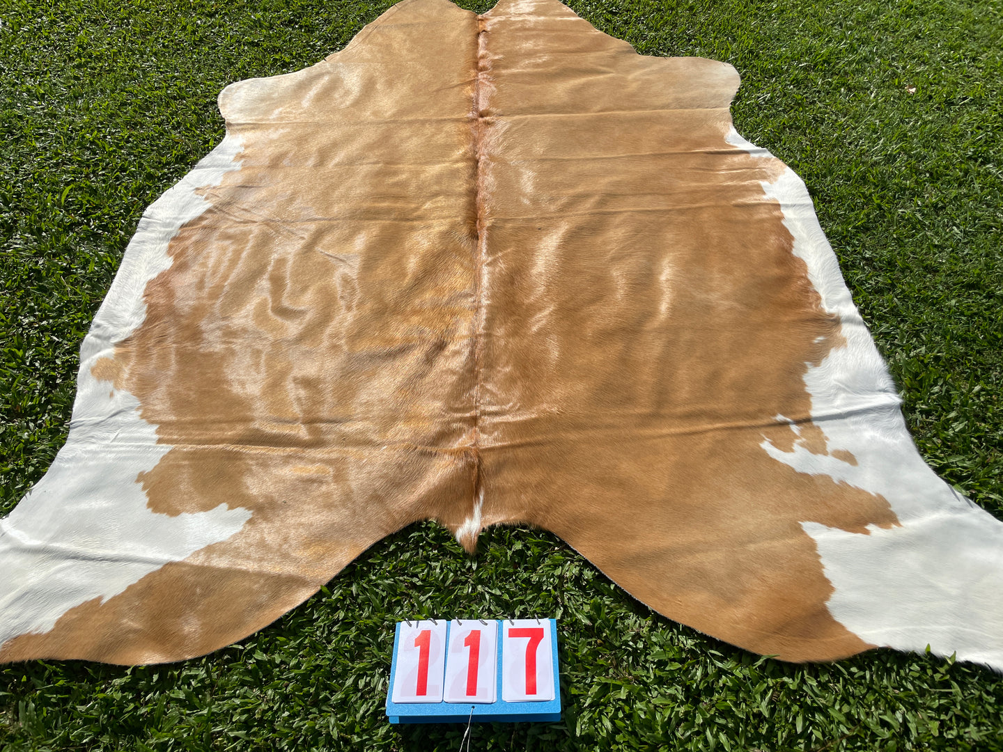 a117. Caramel Cowhide