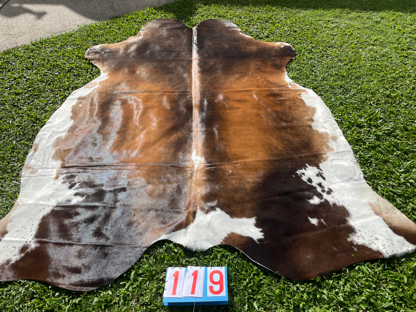 119 Black and White Reddish Cowhide