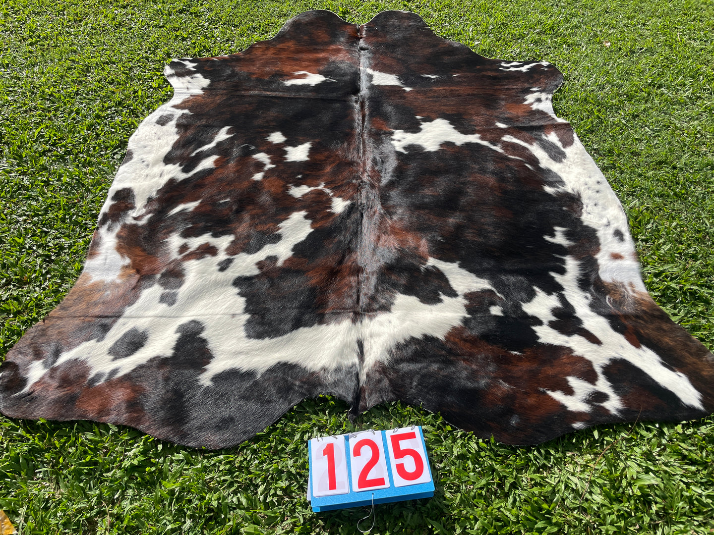 a125. Huge Black and White Cowhide