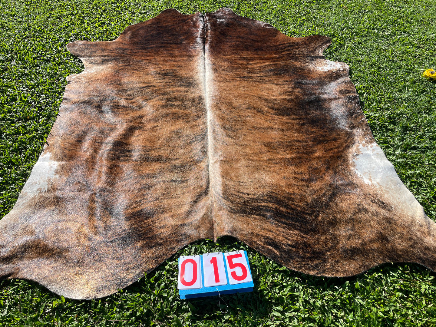 15 Brindle Cowhide