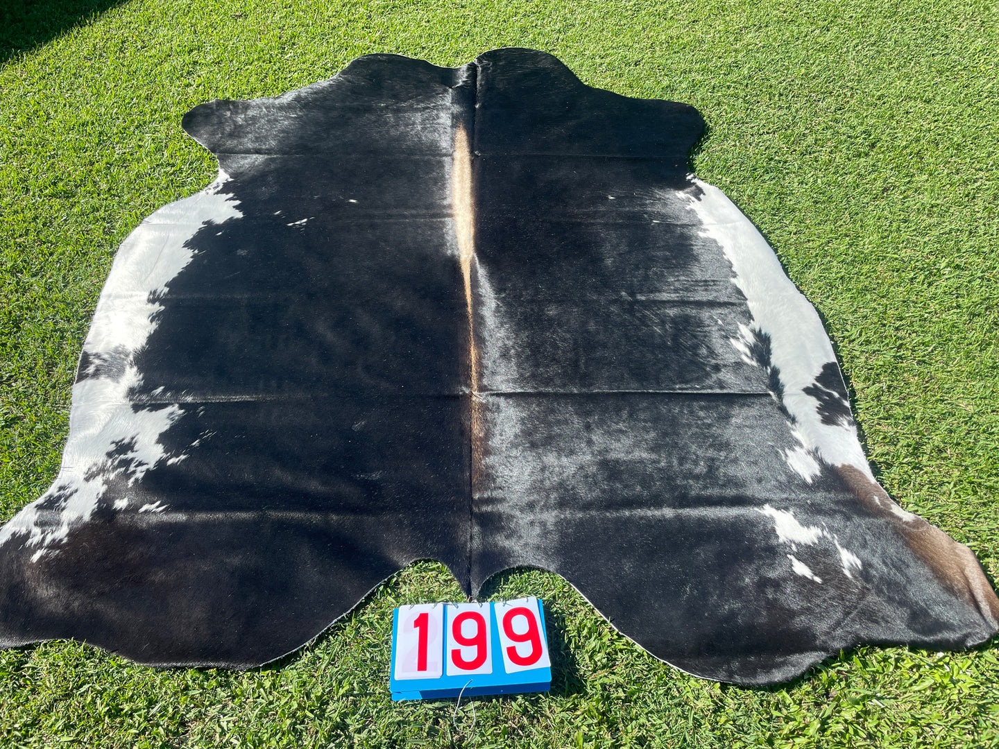 a199 -  black and white  with Light Spine Cowhide