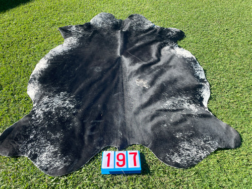 a197. Black White Speckled Cowhide