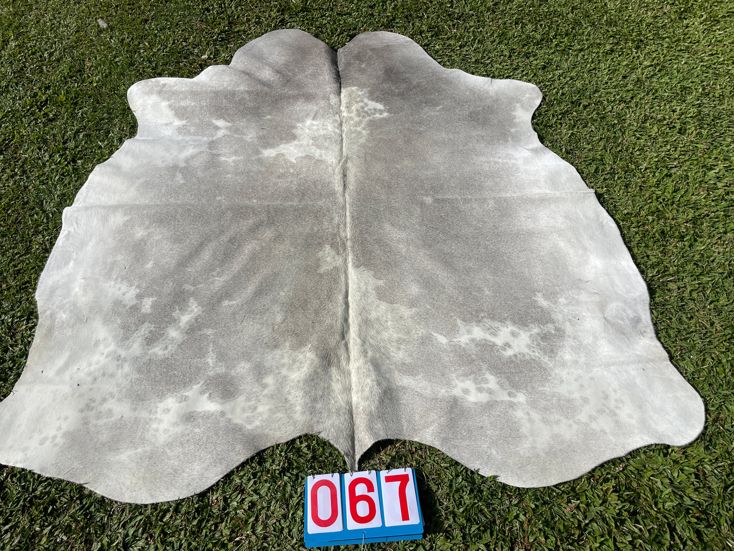 67.  Grey Cowhide