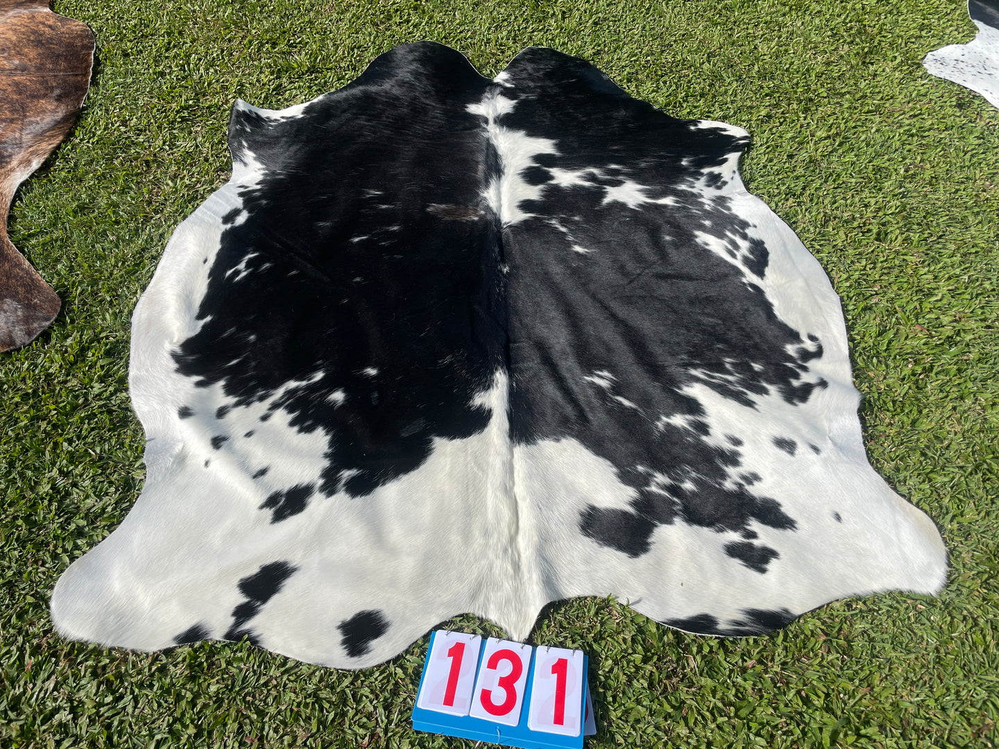 a131. Black White Cowhide