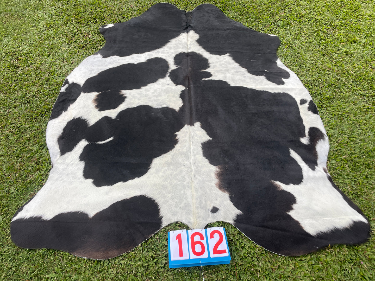 a162. Black White  Cowhide