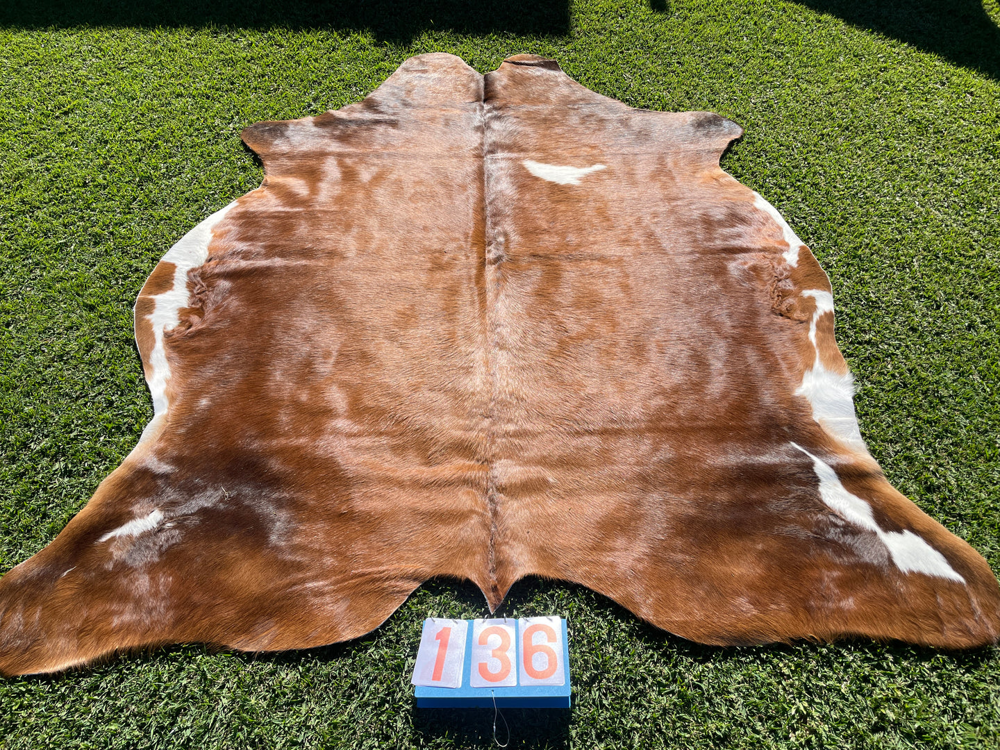 a136. Brown and White Cowhide