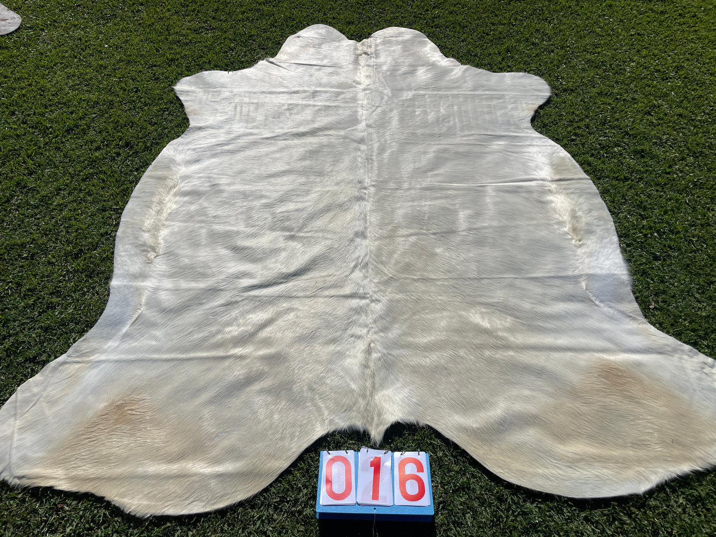 16. White Cowhide