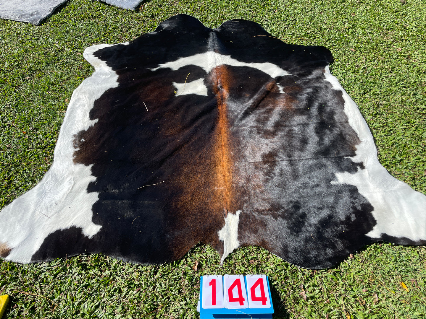 a144. Black White Reddish Cowhide