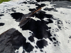 a127. Black and White reddish Cowhide