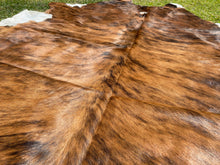 Load image into Gallery viewer, a138 Brindle white belly  Cowhide