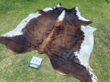 Load image into Gallery viewer, a117. Black white reddish Cowhide